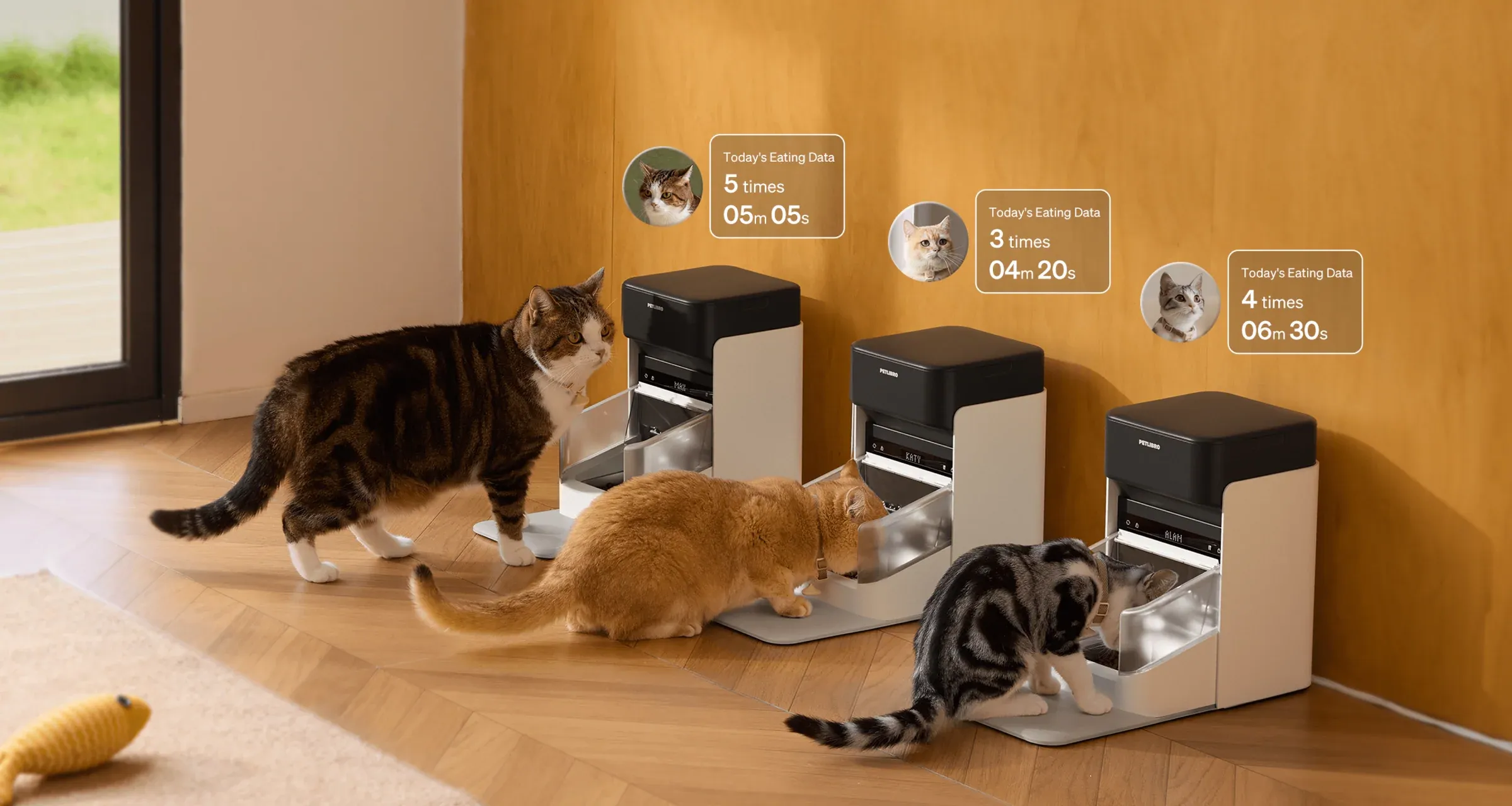 PETLIBRO One RFID Smart Feeder in redaktioneller Produktdarstellung