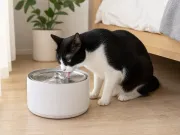 PETKIT Eversweet 3 Pro UVC im Trinkbrunnenvergleich