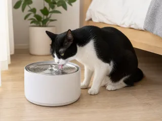 PETKIT Eversweet 3 Pro UVC im Trinkbrunnenvergleich