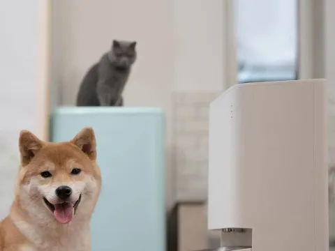 PAWBBY Smart Pet Feeder als kompakte Produktansicht