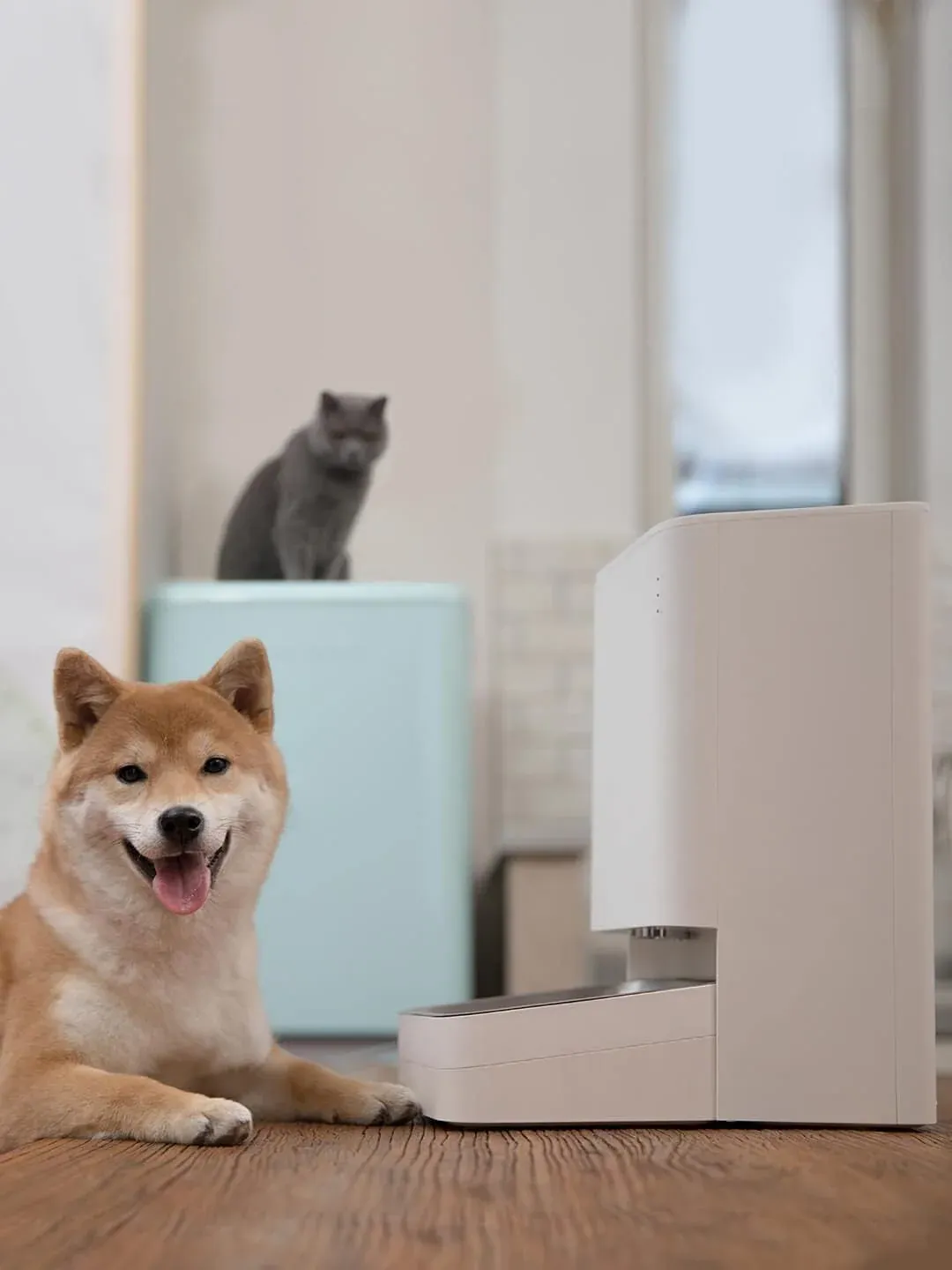 PAWBBY Smart Pet Feeder in redaktioneller Produktdarstellung