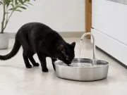 PETLIBRO Edelstahl-Trinkbrunnen im Vergleich