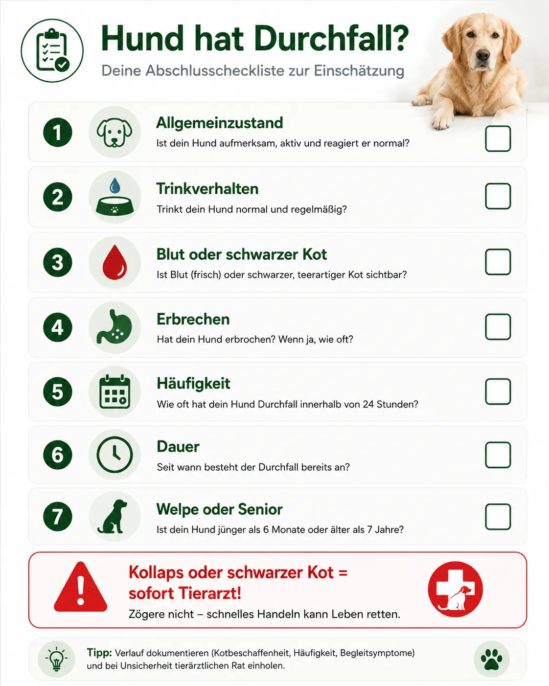 Abschlusscheckliste