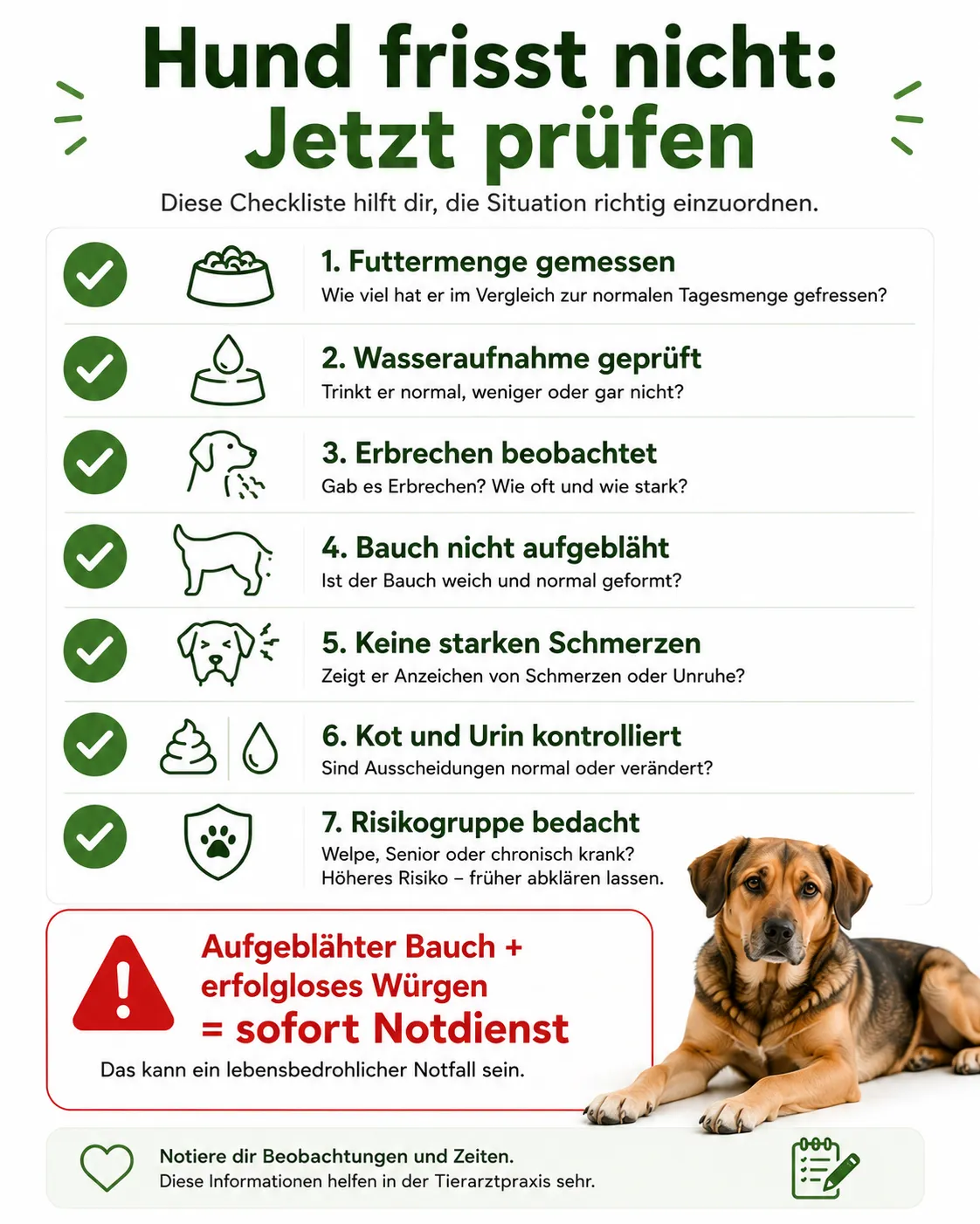 Abschlusscheckliste zur Einordnung einer Futterverweigerung
