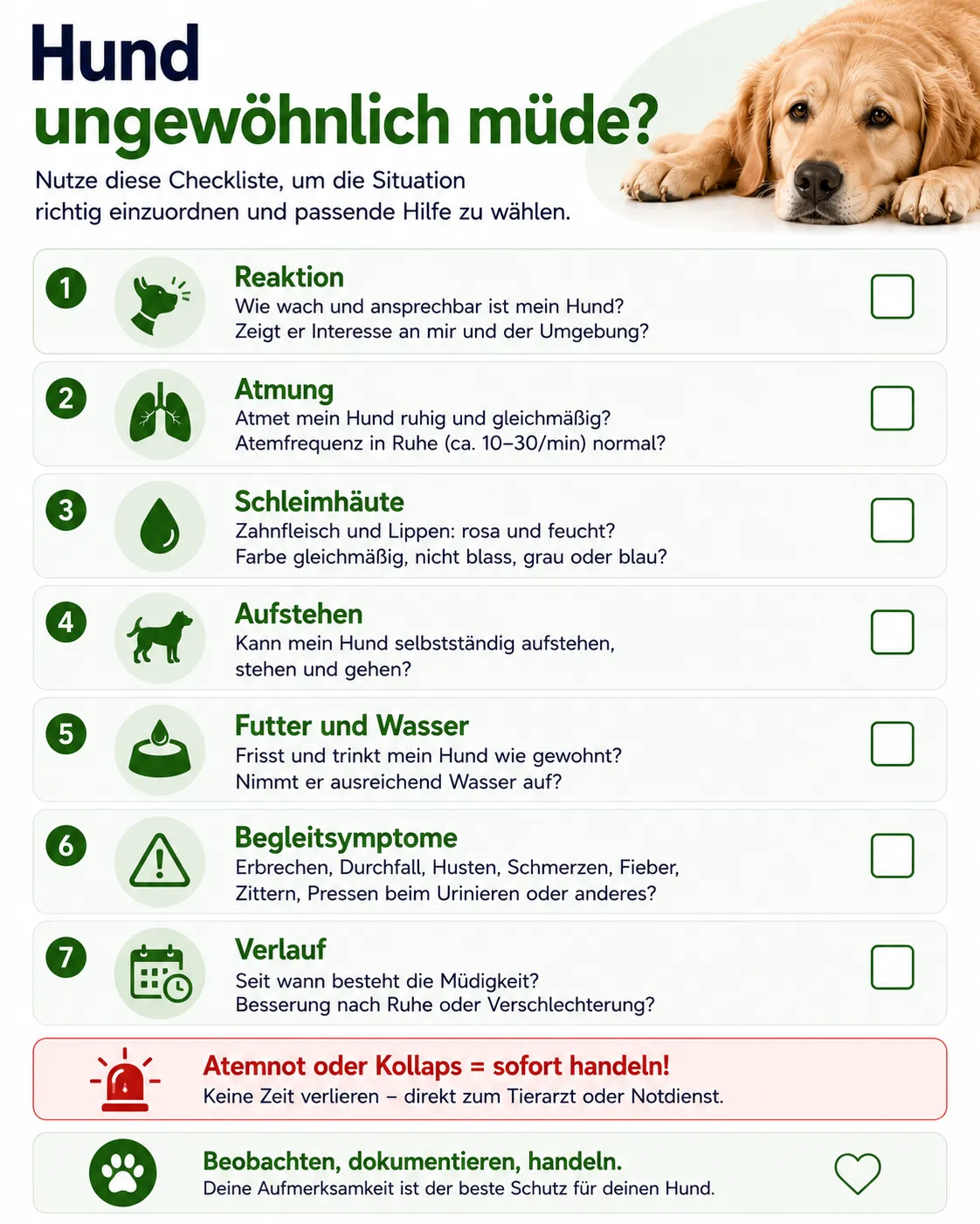Abschlusscheckliste zur Einordnung ungewöhnlicher Müdigkeit