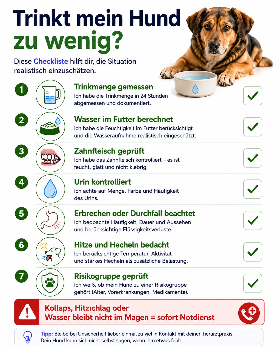 Vertikale Checkliste zur Beurteilung geringer Wasseraufnahme