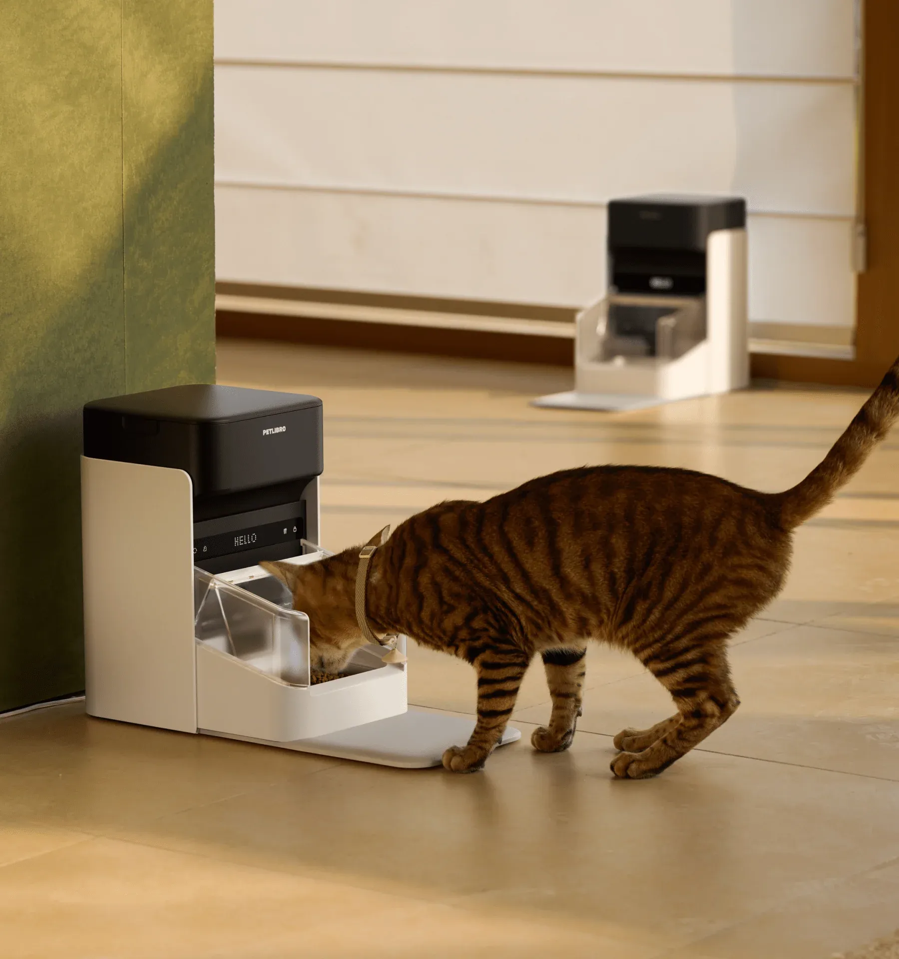 PETLIBRO One RFID Smart Feeder, weitere redaktionelle Ansicht 1