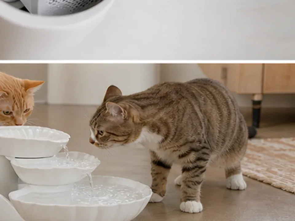 Cat Mate Shell Pet Fountain im Katzenhaushalt