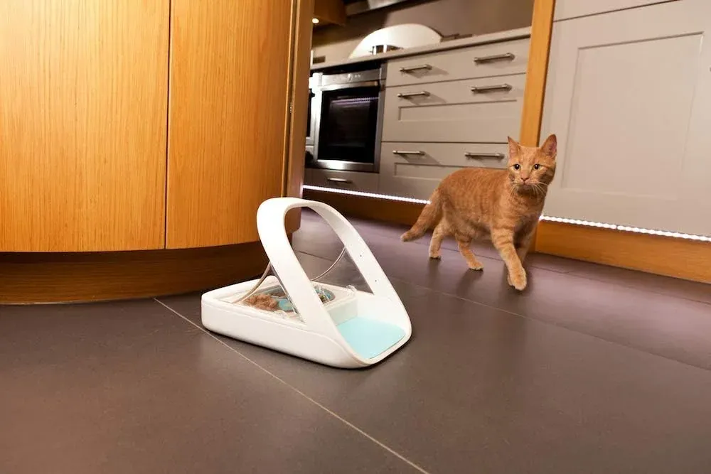 SureFeed Microchip Pet Feeder im Mehrkatzenhaushalt