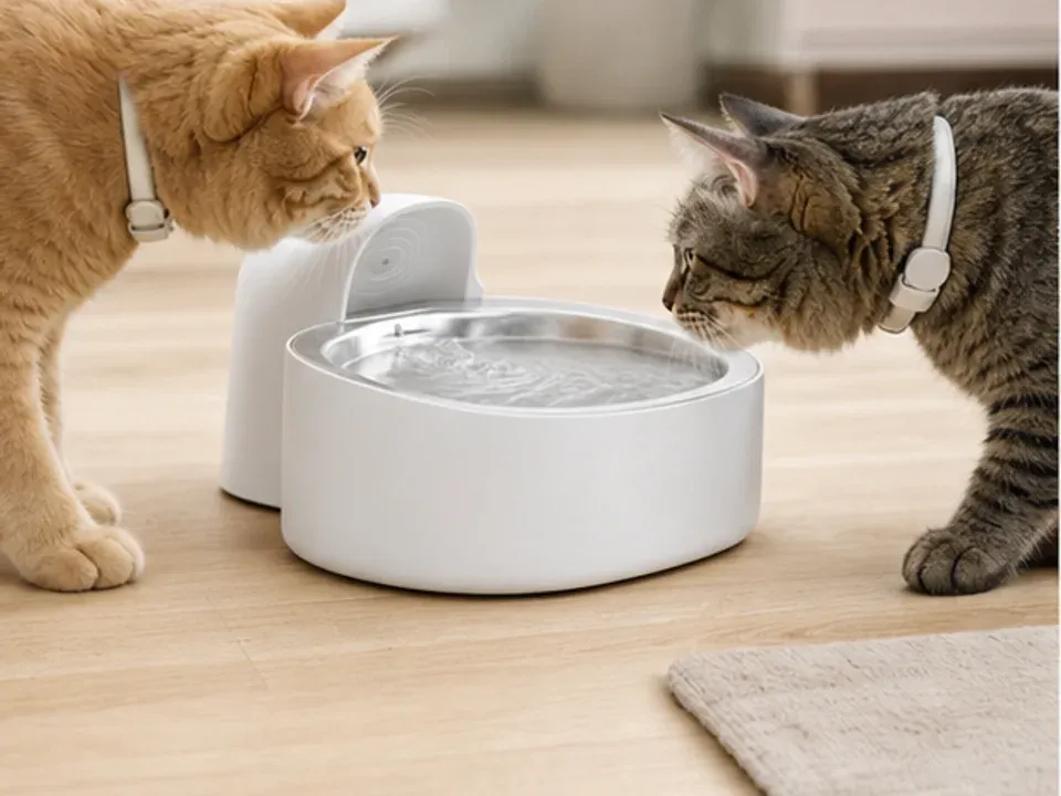 PETLIBRO Dockstream RFID Smart mit mehreren Katzen