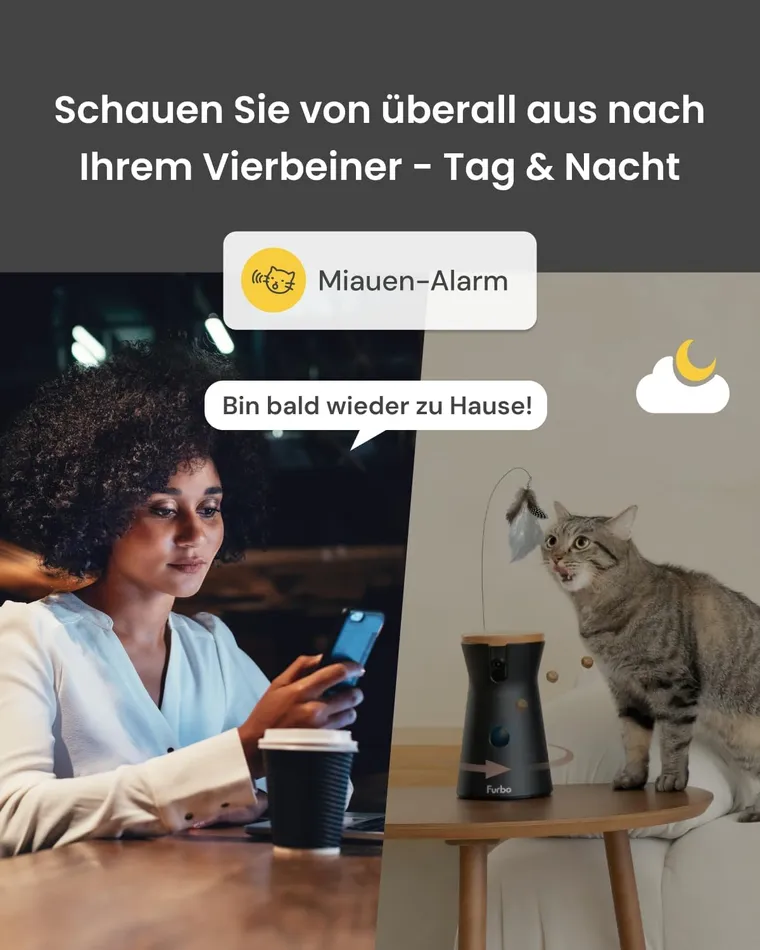 Geplanter Bildslot: Furbo 360° Katzenkamera in einer Nutzungssituation mit Katze; aktuell Platzhalter