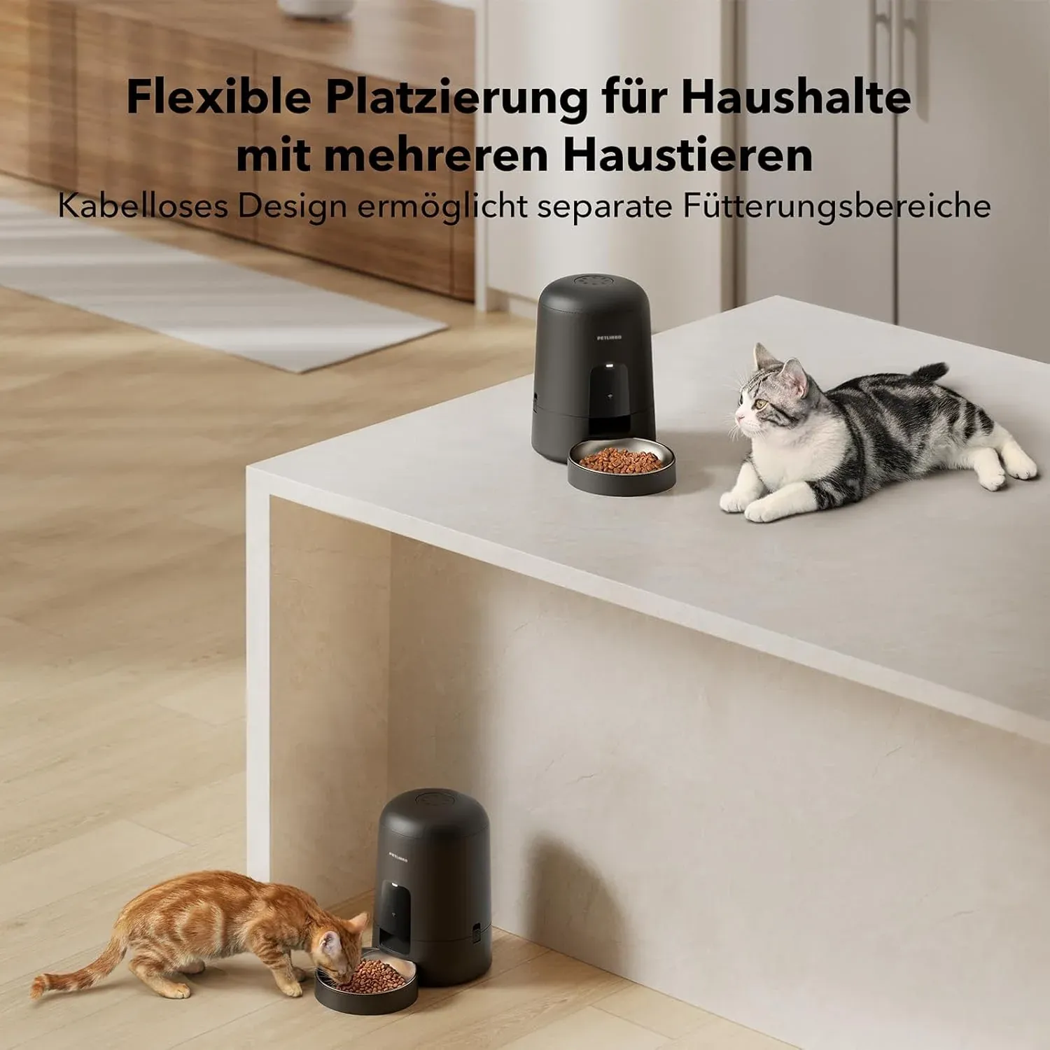 Zerlegbare Komponenten des PETLIBRO Air WiFi Feeder
