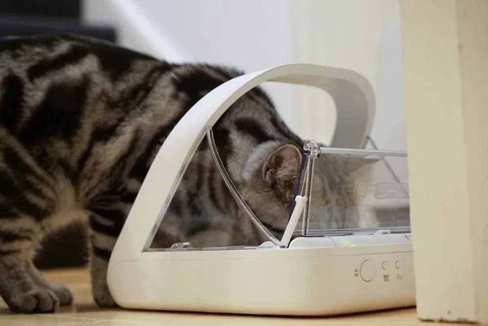 SureFeed Microchip Pet Feeder Connect in redaktioneller Produktdarstellung