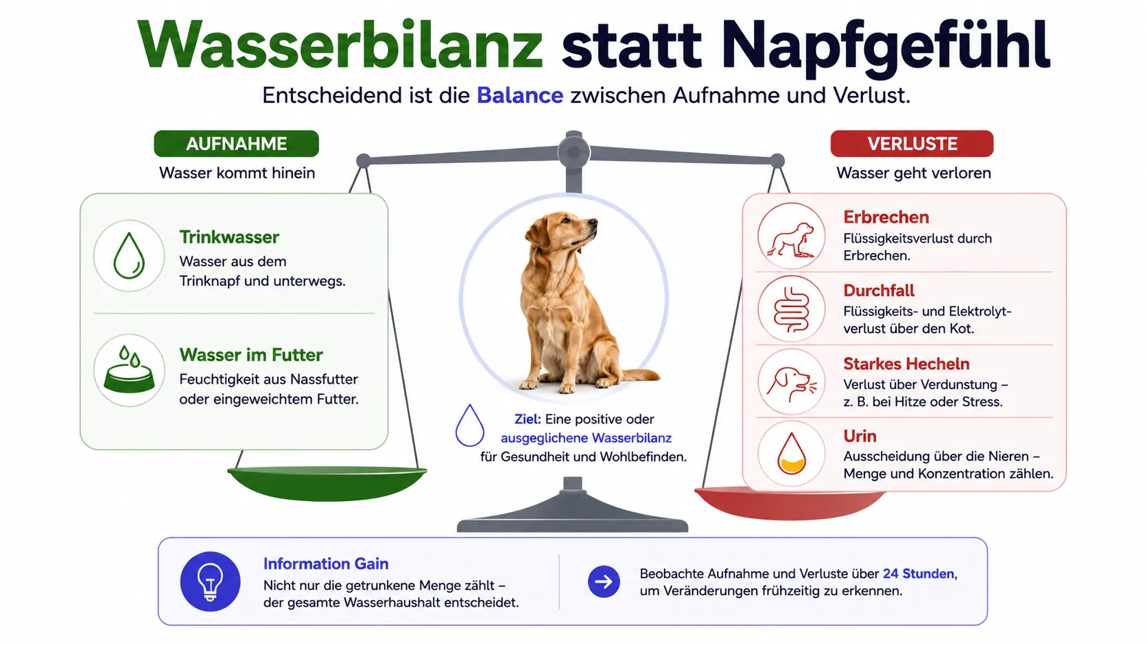 Hund trinkt aufmerksam aus einem Wassernapf