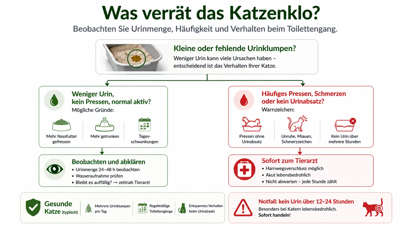 Entscheidungsbaum zu kleinen Urinklumpen, häufigem Pressen und fehlendem Urinabsatz