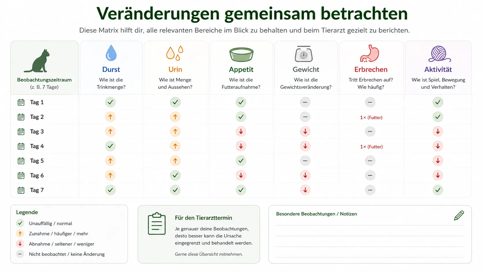 Matrix aus Durst, Urin, Appetit, Gewicht, Erbrechen und Aktivität zur Vorbereitung des Tierarzttermins