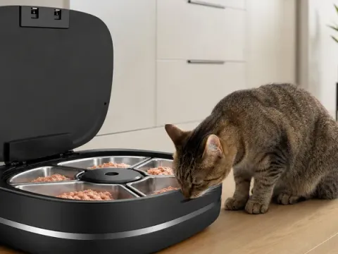 PetSafe FreshFeed Refrigerated Pet Feeder als kompakte Produktansicht