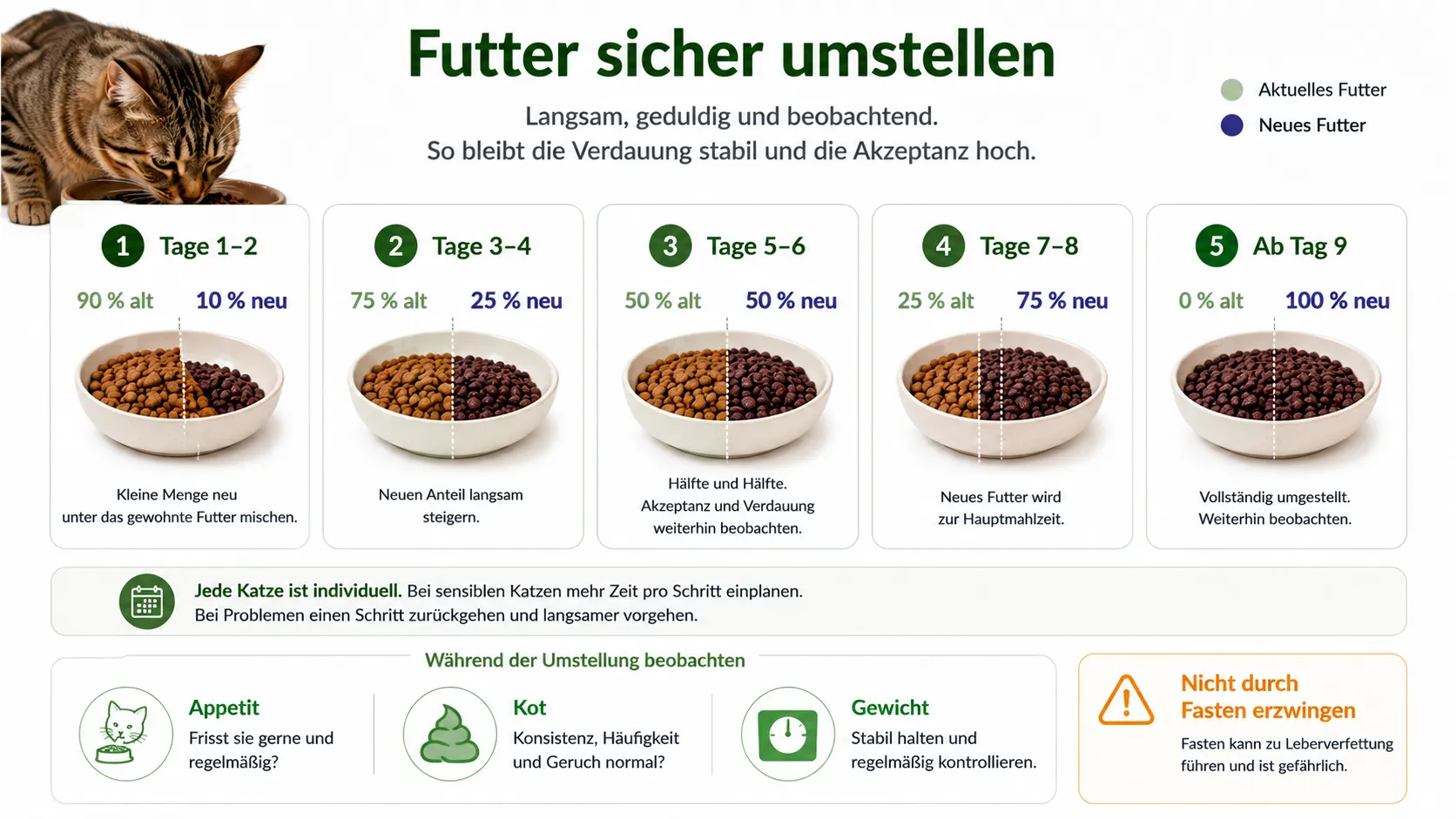 Schrittweise Futterumstellung über mehrere Phasen