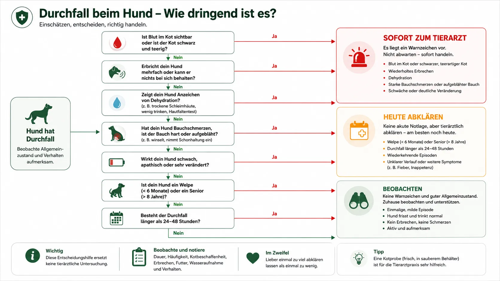 Entscheidungsbaum bei Durchfall