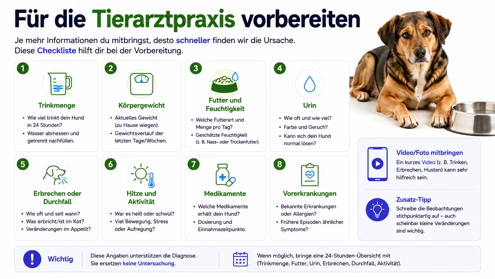 Checkliste für die tierärztliche Abklärung veränderter Wasseraufnahme