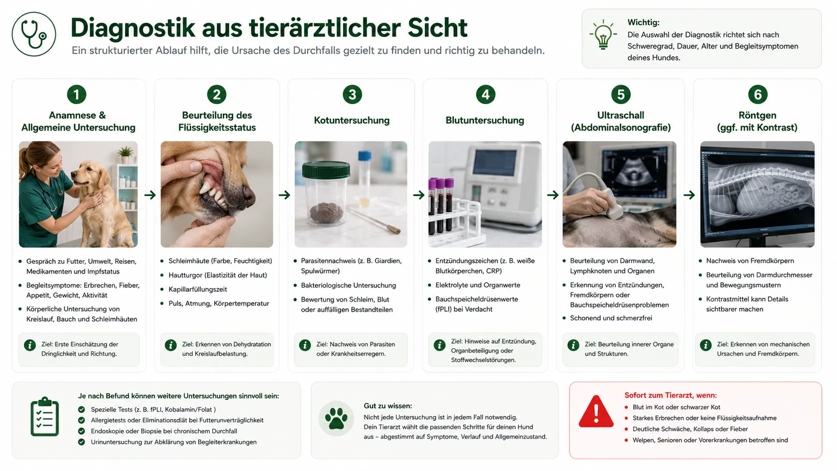 Kotprobe und Diagnostik