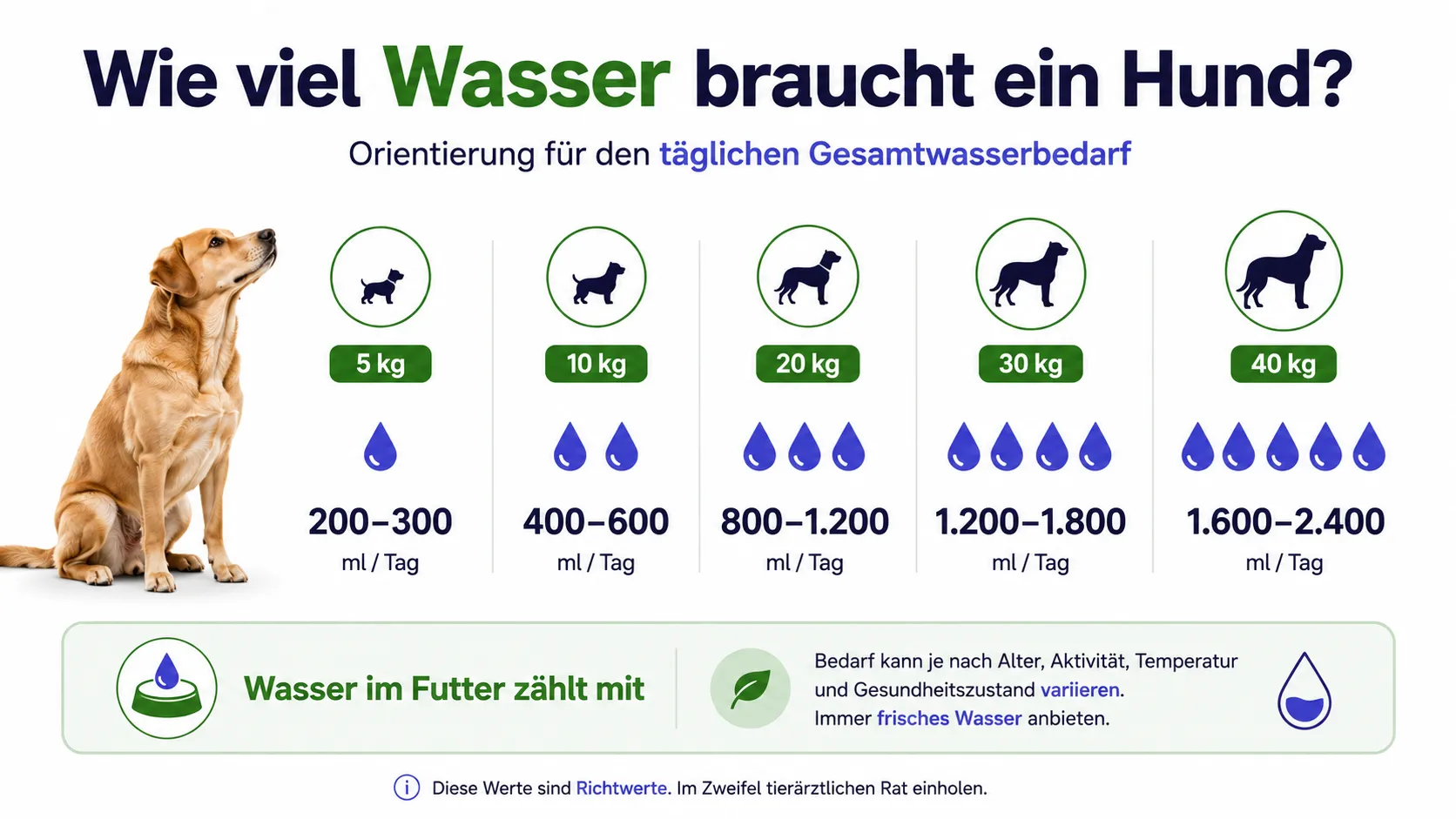 Hund neben einem gefüllten Wassernapf